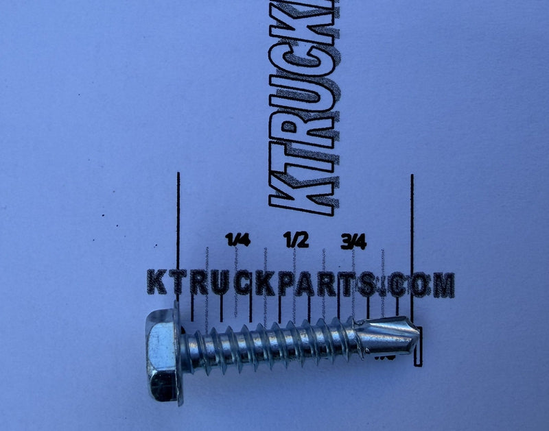 Self Drilling Screw 10X1 (100 Pcs)