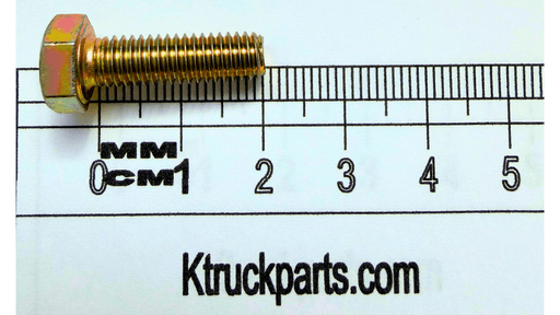 M6 Cap Screw, Metric 10.09, Key/Socket Size 10mm Head Width