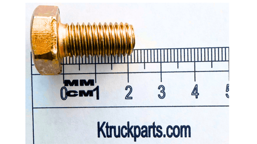 M10 Cap Screw, Metric 10.09, Key/Socket Size 16mm Or 17mm Head Width