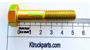 M10 Cap Screw, Metric 10.09, Key/Socket Size 16mm Or 17mm Head Width