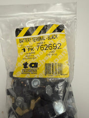 BATTERY TERMINAL WITH WING NUT