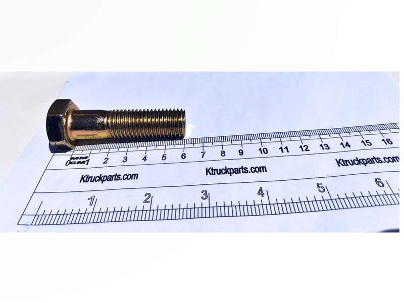 M16 Cap Screw, Metric 10.09, Key/Socket Size 24mm Head Width