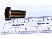M20 Cap Screw, Metric 10.09, Key/Socket Size 30mm Head Width
