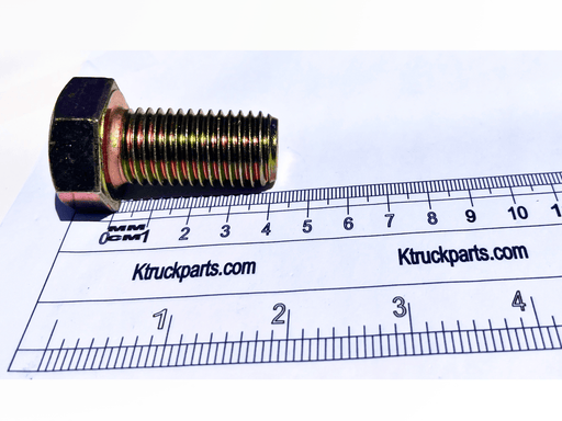 M20 Cap Screw, Metric 10.09, Key/Socket Size 30mm Head Width