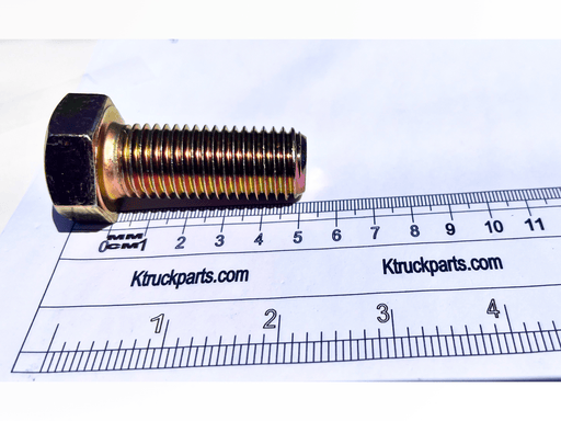M20 Cap Screw, Metric 10.09, Key/Socket Size 30mm Head Width