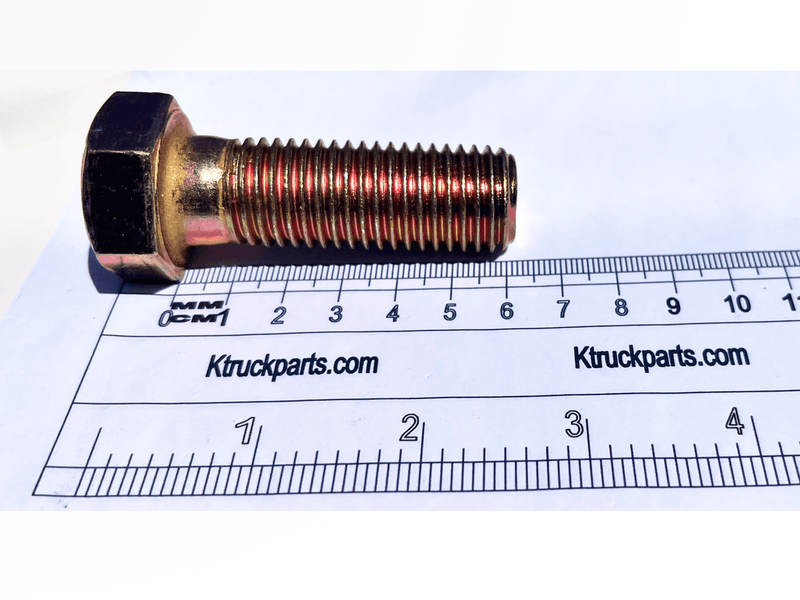 M20 Cap Screw, Metric 10.09, Key/Socket Size 30mm Head Width