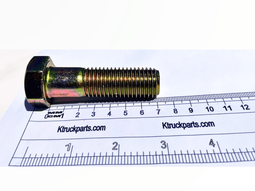 M20 Cap Screw, Metric 10.09, Key/Socket Size 30mm Head Width